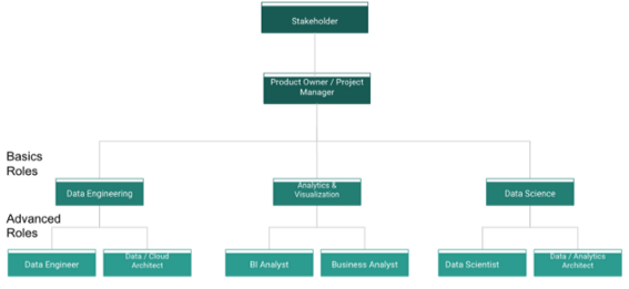 Roles within an Analytics Team