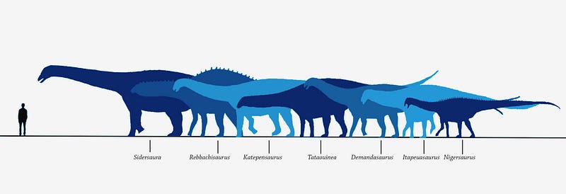 Comparison of Sidersaura to human size