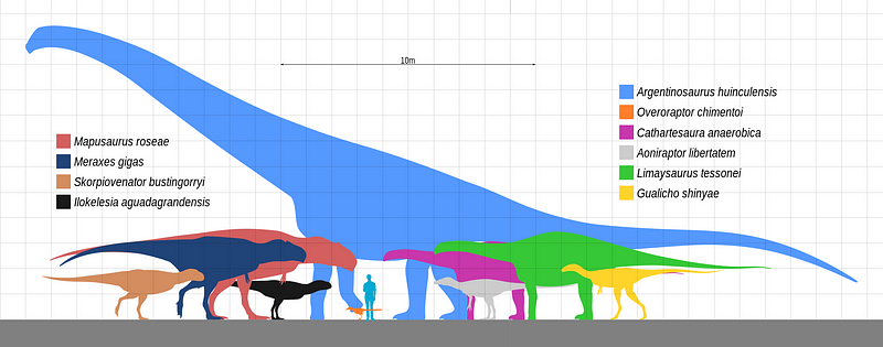 Size comparison of dinosaurs from Huincul Formation