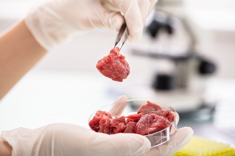 Cultured meat production in a lab environment