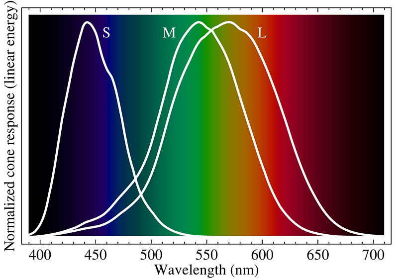 Source image of color perception mechanics