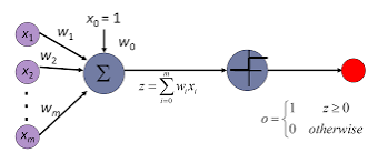 Perceptron Model