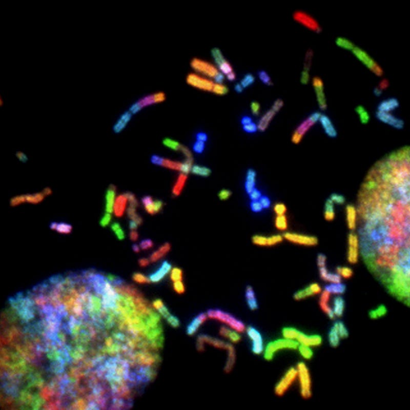 Genetic connections to tooth development and cancer