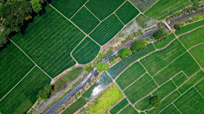 Illustration of small fields with diverse edges