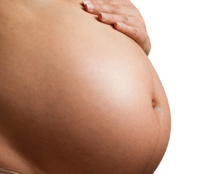 Surrogacy Legalities