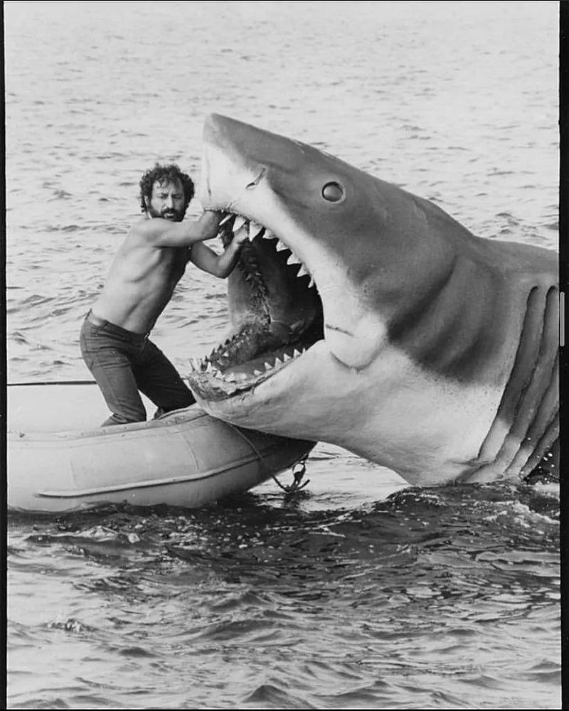 Jaws prop shark