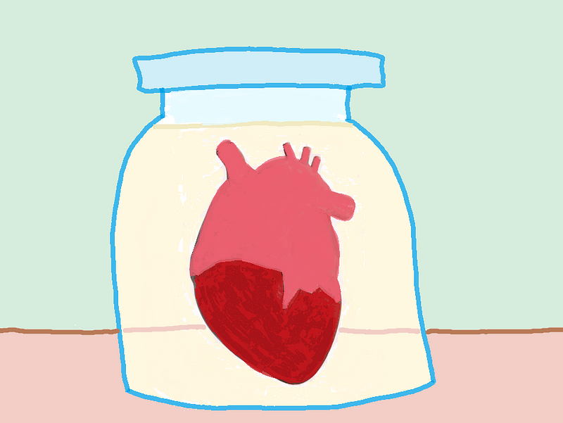 Preserved human heart in a jar