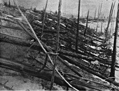 Tunguska Forest Aftermath