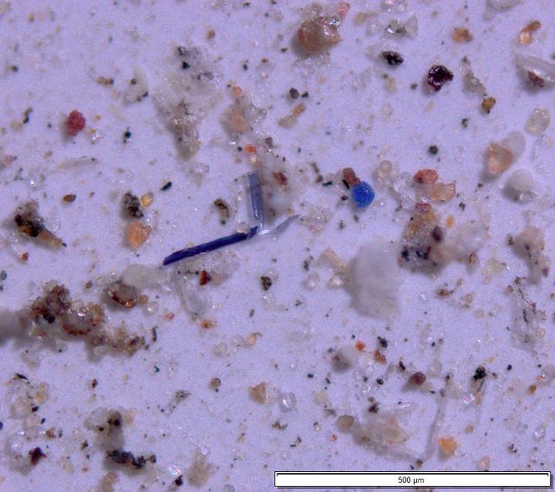 Microplastic samples from western national parks