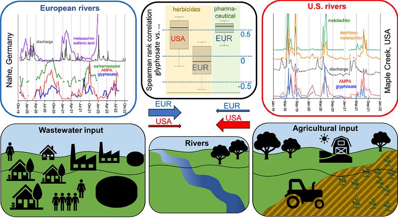 The interplay of urban wastewater and glyphosate levels